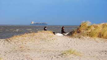 Reise-Tipp Ostfriesland