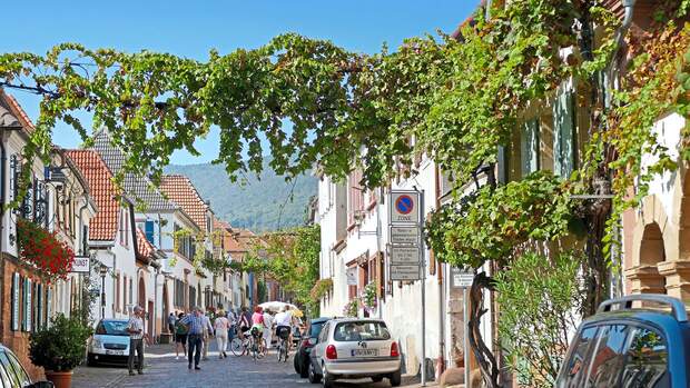 Reise-Tipp Pfalz 