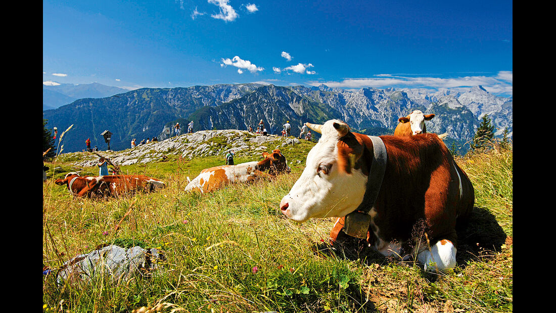 Reise-Tipp: Tirol