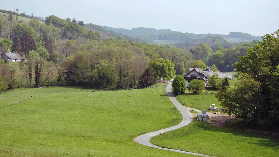 SP Fokus Bergisches Land Bauernhof im Tal