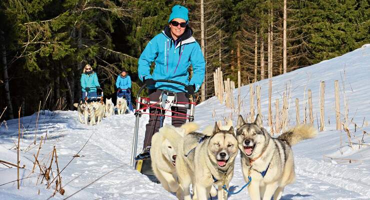 Schlittenhundefahrt in les Paccots
