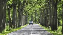 Stellplatz-Fokus Brandenburg Allee