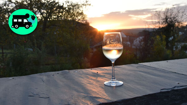 Stellplatz Mosel Weingut