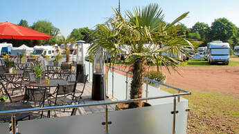Stellplatz-Tipp: Xanten, Palme
