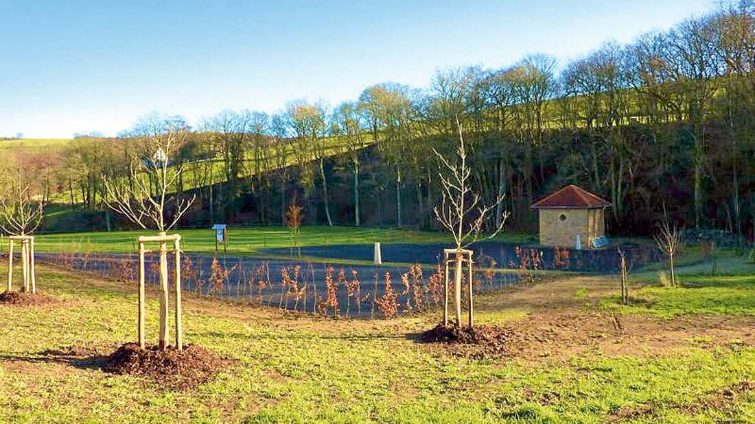 Stellplatz Waldgrehweiler
