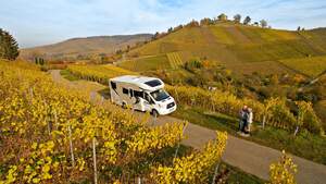 Supercheck Chausson Titanium 767 GA