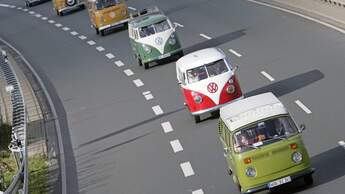 VW Bulli Konvoi