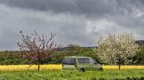 VW Caddy California 
