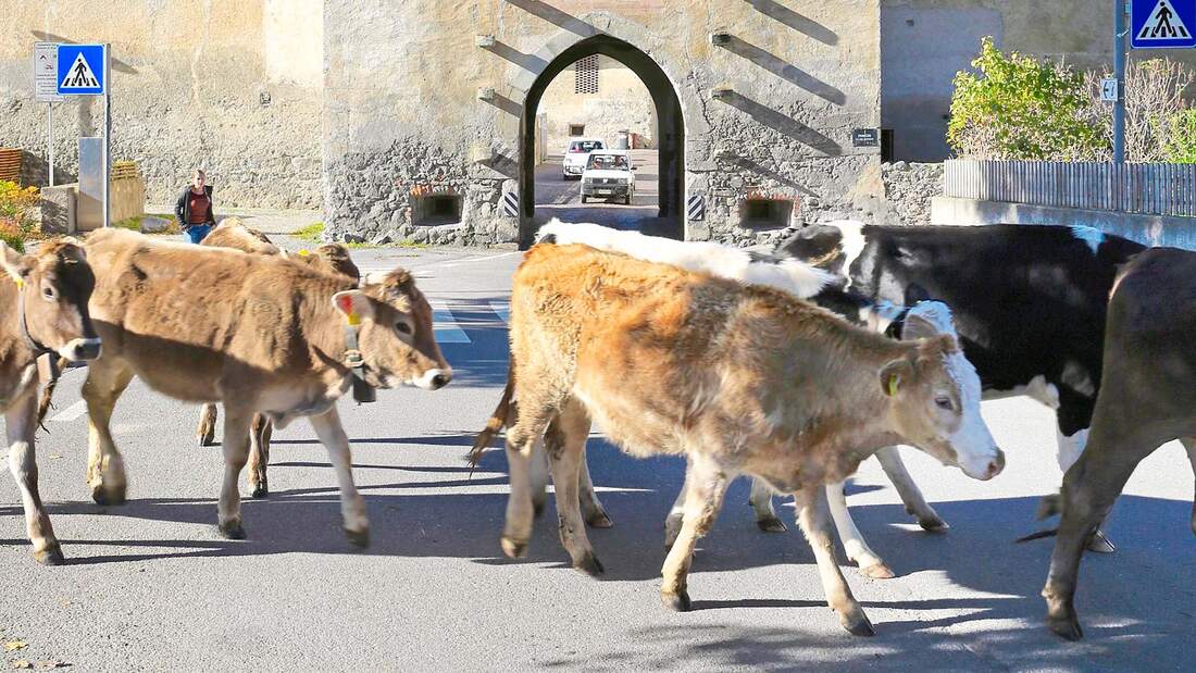 Mit dem Wohnmobil nach Italien Vinschgau in Südtirol