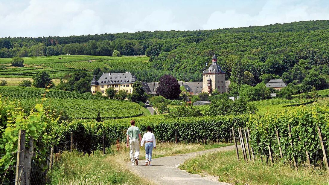 Vorbei an zahlreichen Weingütern führt der Flötenweg durch die Weinberge