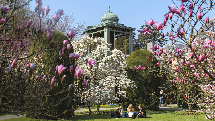 12 Ziele Fur Wohnmobilisten Deutschlands Garten Und Parks Promobil