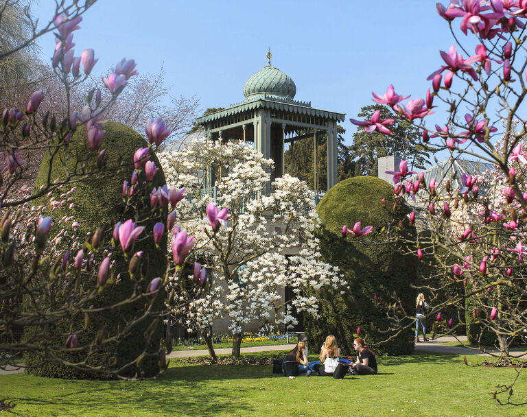 12 Ziele Fur Wohnmobilisten Deutschlands Garten Und Parks Promobil