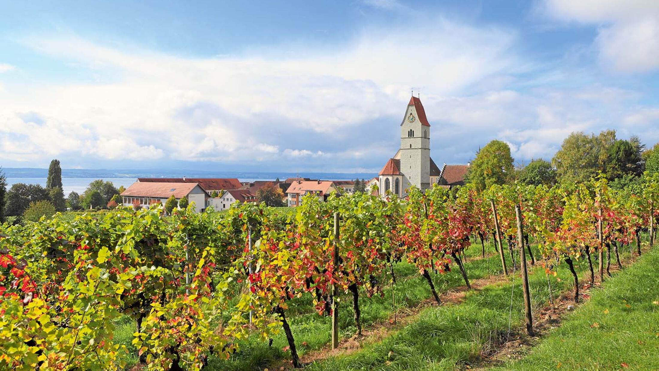 Bodensee: Das wohnmobilfreundliche Winzerdorf Hagnau | promobil