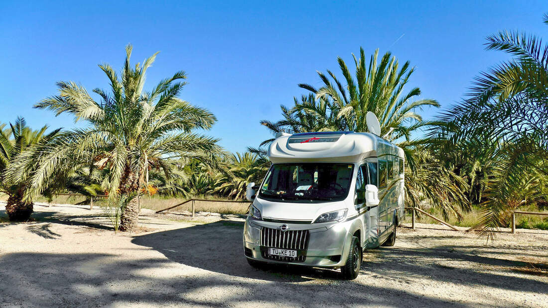 Wohnmobil vor Palmen