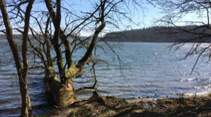 Zur einmaligen Verwendung - Uckermark 