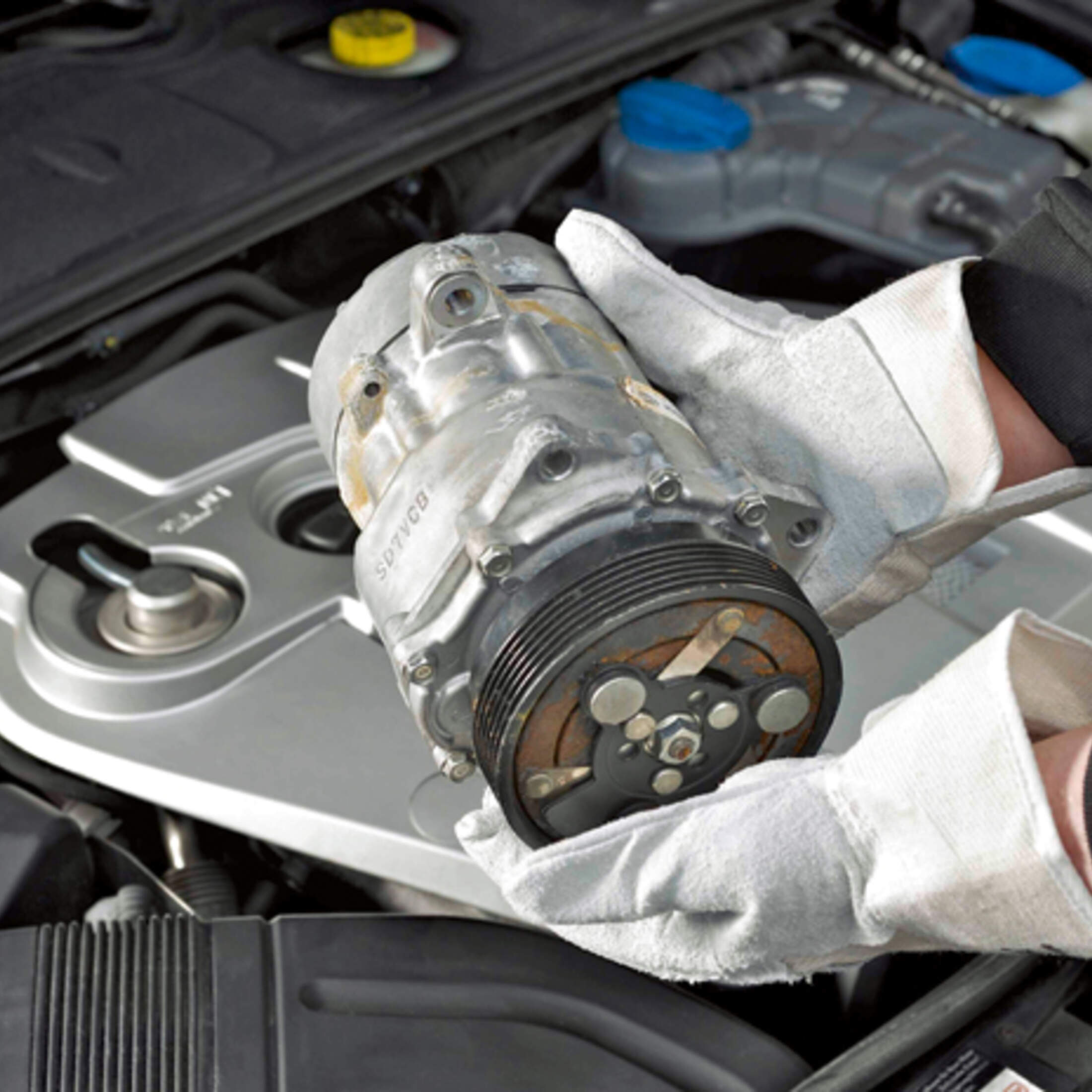 Baum Medien Knappe klimaanlage auto leistungsverlust Blume Allergie Eng