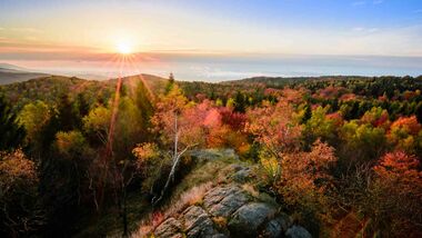 sunset and rocks in autumnal forest